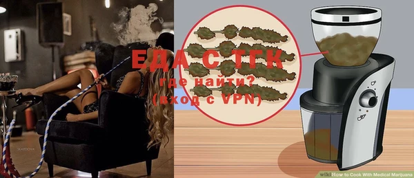 PSILOCYBIN Ельня