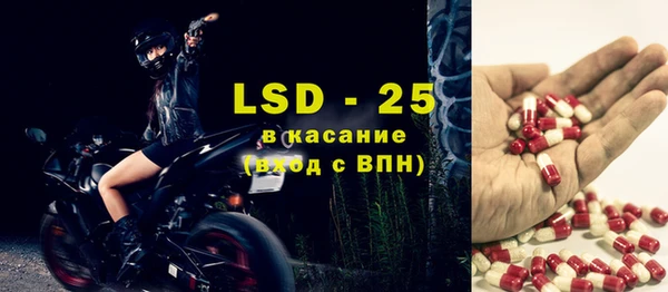 PSILOCYBIN Ельня