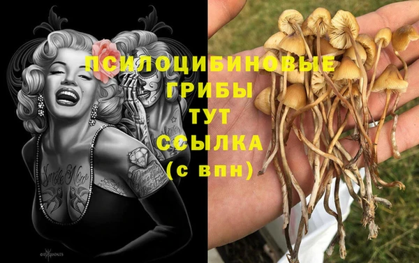ALPHA PVP Щёлкино