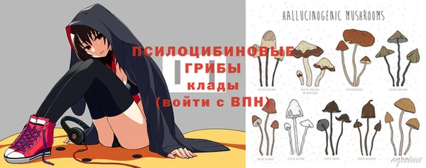 ПСИЛОЦИБИНОВЫЕ ГРИБЫ Ростов