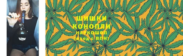 дживик Елабуга