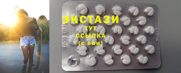 PSILOCYBIN Ельня