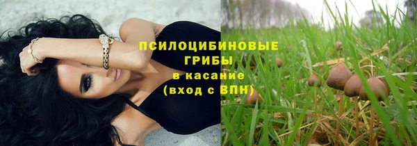PSILOCYBIN Ельня